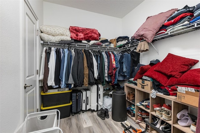 walk in closet with hardwood / wood-style flooring