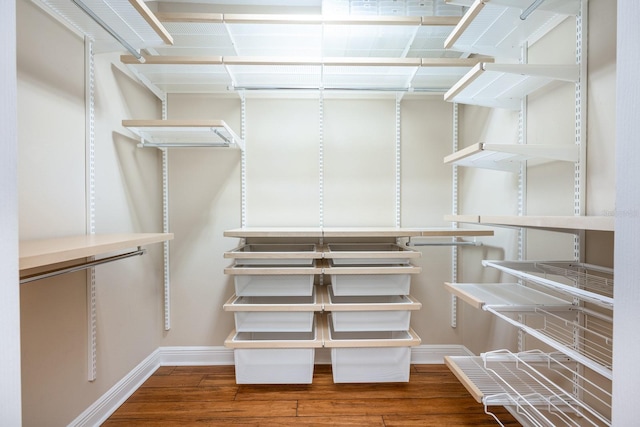 walk in closet with hardwood / wood-style floors