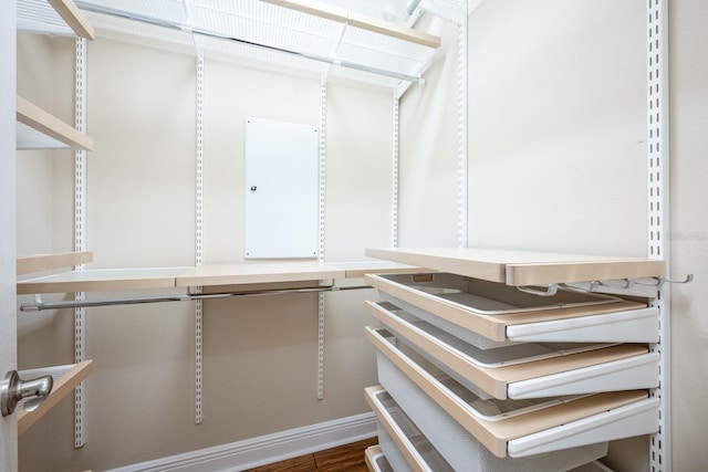 spacious closet with dark wood-type flooring