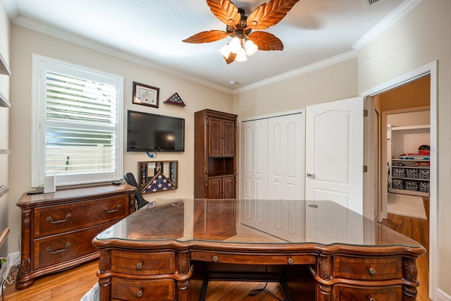 office featuring crown molding, ceiling fan, and light wood-type flooring