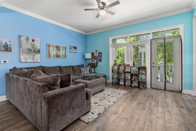 living room with hardwood / wood-style flooring, ceiling fan, and ornamental molding