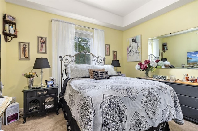 carpeted bedroom with a raised ceiling