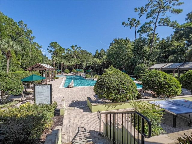 view of pool with a patio