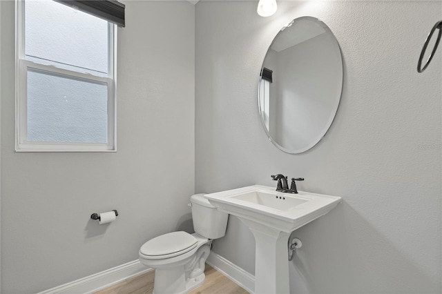 bathroom with toilet and hardwood / wood-style floors