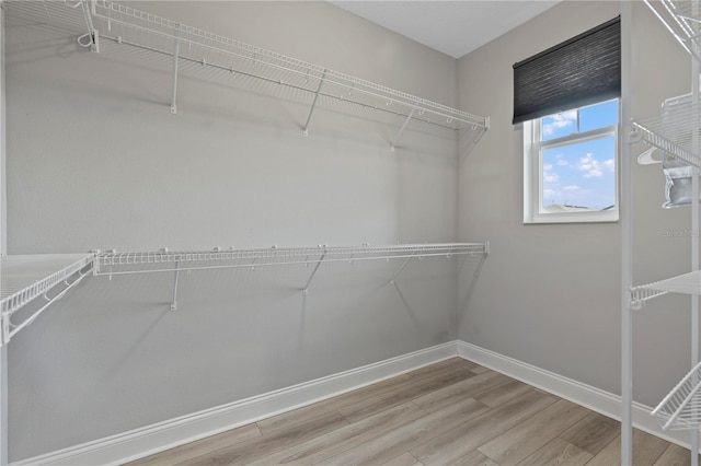 spacious closet with hardwood / wood-style floors