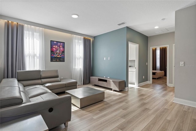 living room featuring a wealth of natural light and light wood-type flooring