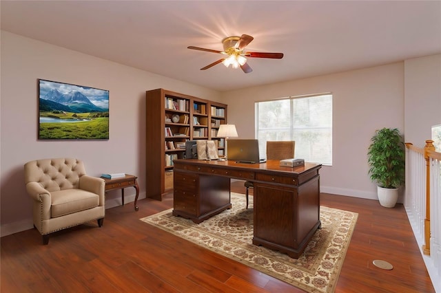 office featuring ceiling fan and dark hardwood / wood-style flooring