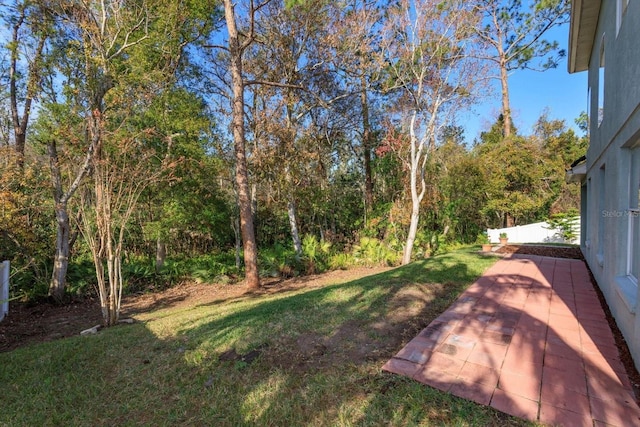 view of yard with a patio