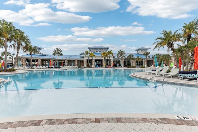 view of swimming pool with a patio