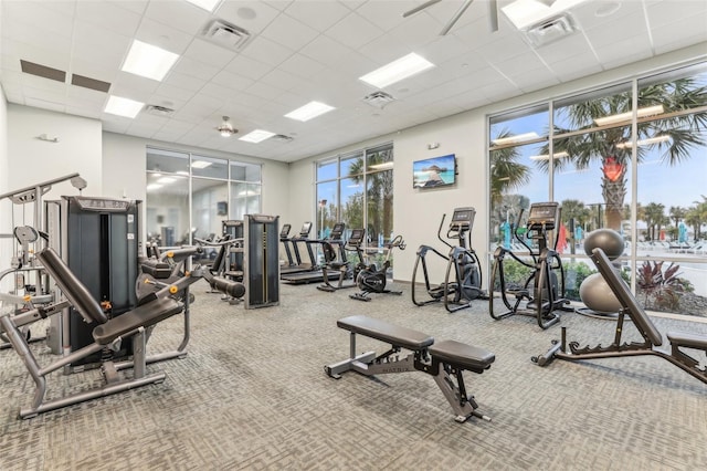 gym with carpet floors and a paneled ceiling