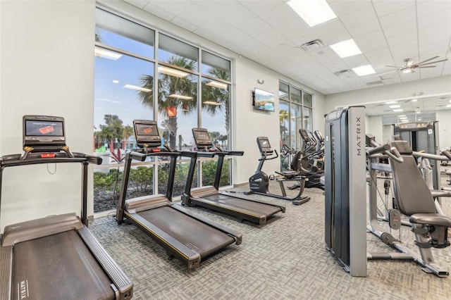 exercise room with ceiling fan, a paneled ceiling, and carpet floors