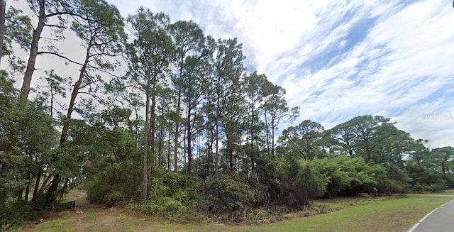 220 Levy Bay Rd, Panacea FL, 32346 land for sale