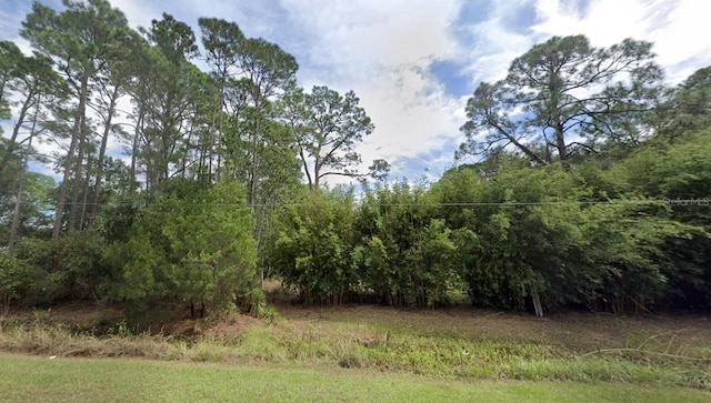 Listing photo 3 for 220 Levy Bay Rd, Panacea FL 32346