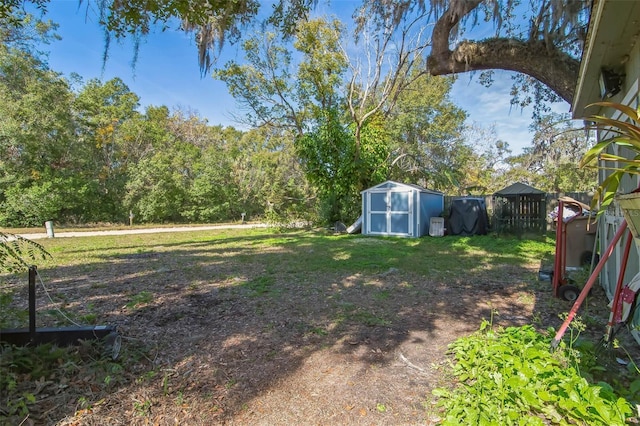 view of yard featuring a storage unit