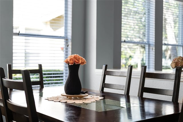 view of dining area