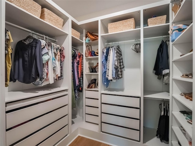 spacious closet featuring light wood-type flooring