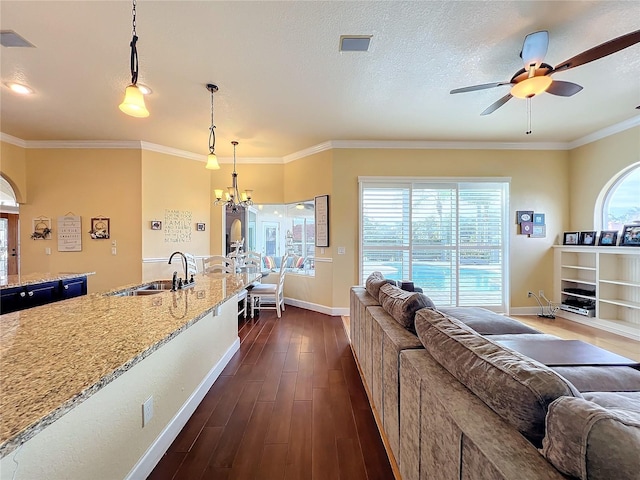 living room featuring a textured ceiling, crown molding, dark hardwood / wood-style floors, and sink