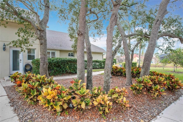 278 Eaglet Way, Lake Mary, FL 32746 - view of front of property featuring stucco siding and a shingled roof