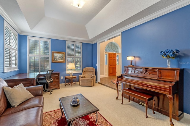 interior space featuring carpet, a raised ceiling, and baseboards