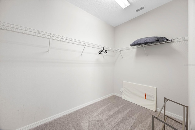 spacious closet with carpet floors