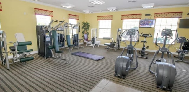 workout area featuring plenty of natural light and crown molding