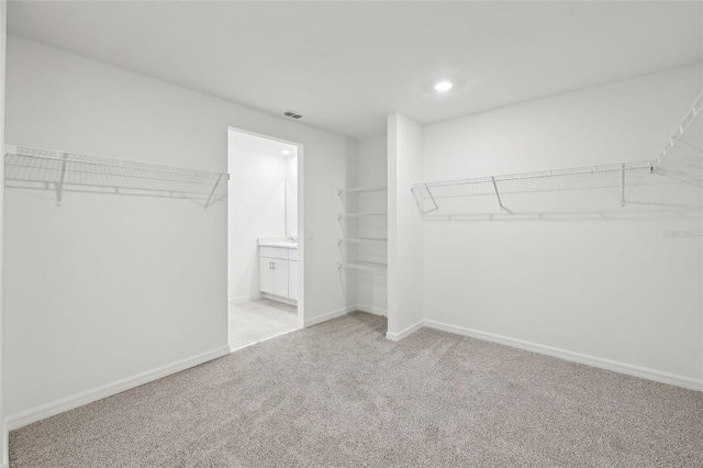 walk in closet featuring visible vents and light colored carpet