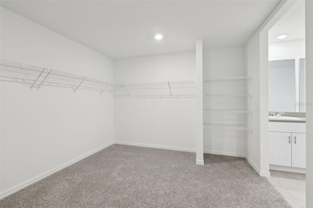 walk in closet featuring light carpet and a sink