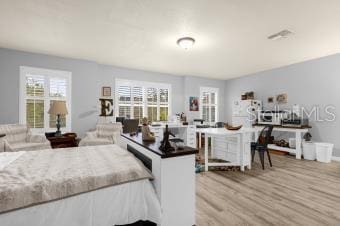 interior space featuring light wood-type flooring