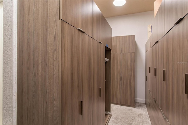 spacious closet with light colored carpet