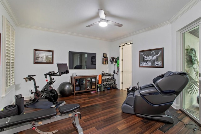 exercise room featuring crown molding, dark hardwood / wood-style floors, a wealth of natural light, and ceiling fan