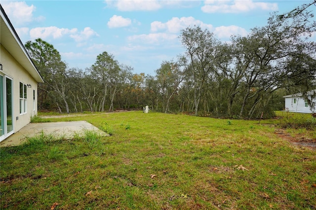 view of yard with a patio area