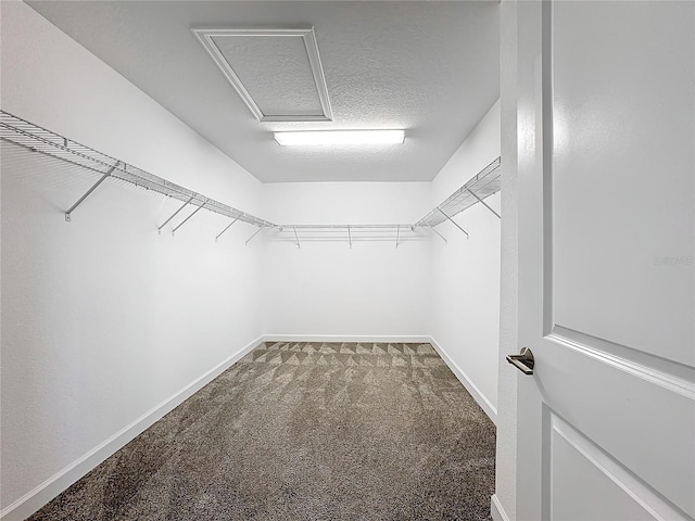 8886 Fallen Oak Dr, Davenport, FL 33896 - walk in closet with carpet and attic access