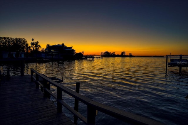 dock area with a water view