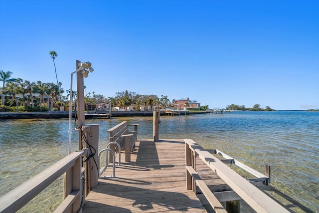 dock area with a water view