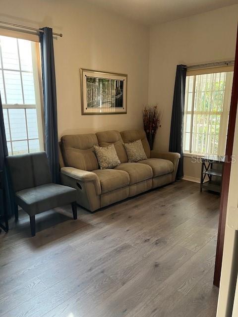 living room with wood-type flooring