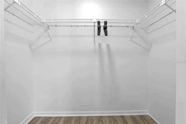 spacious closet with wood-type flooring