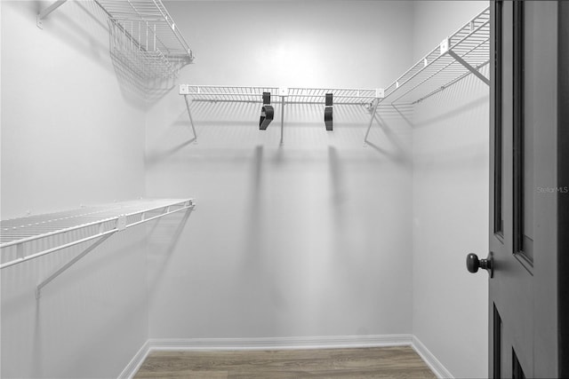 spacious closet featuring hardwood / wood-style flooring