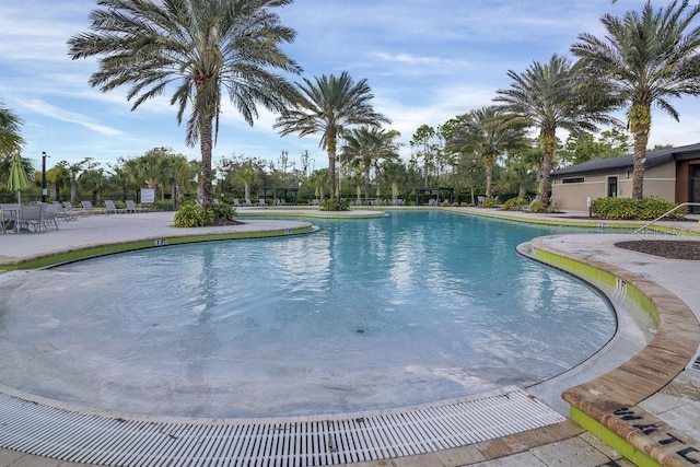 view of swimming pool