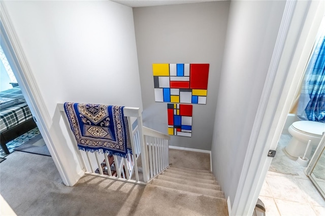 staircase featuring carpet