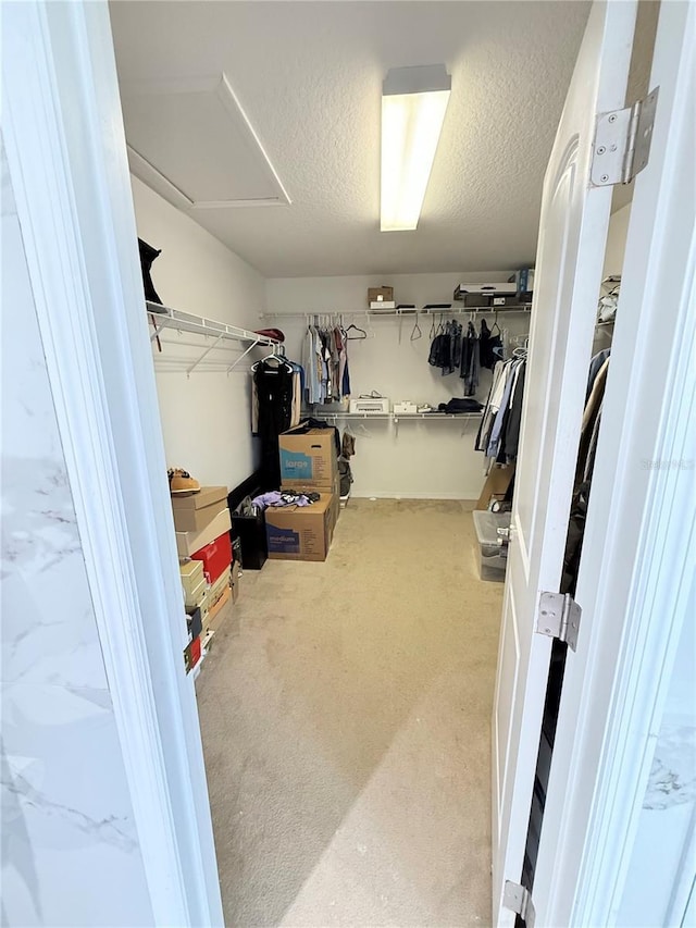 walk in closet featuring carpet floors