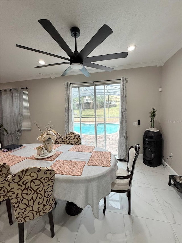 dining room with ceiling fan and ornamental molding