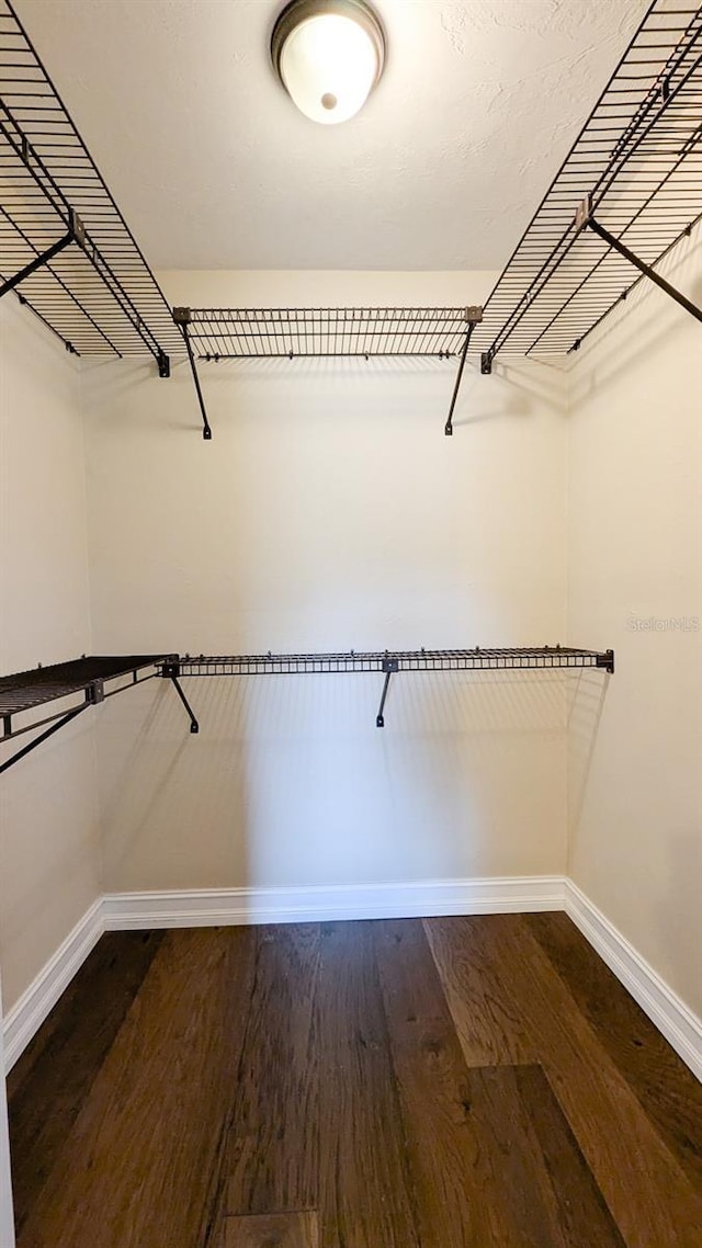 walk in closet with hardwood / wood-style floors