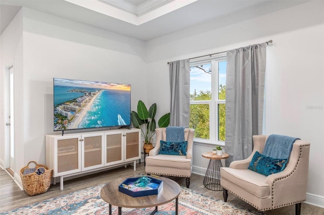 living area featuring a raised ceiling, crown molding, and wood-type flooring