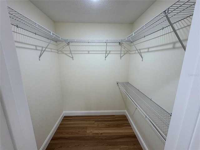 spacious closet with dark hardwood / wood-style floors