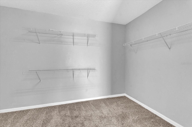 walk in closet featuring carpet