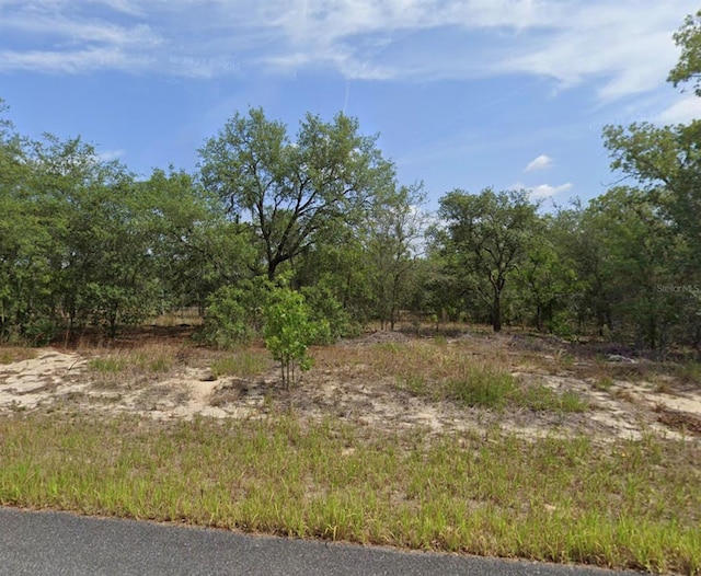 1681 W Swanson Dr, Citrus Springs FL, 34434 land for sale