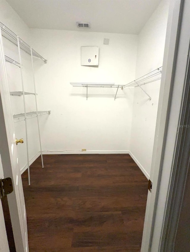 spacious closet featuring dark hardwood / wood-style floors