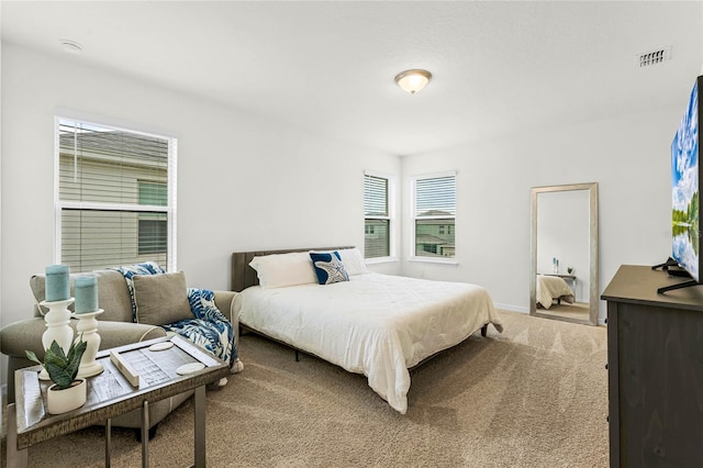 bedroom with carpet floors