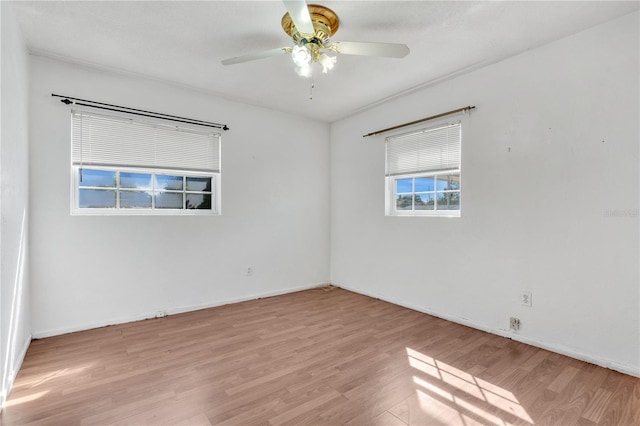 empty room featuring ceiling fan and light wood-type flooring