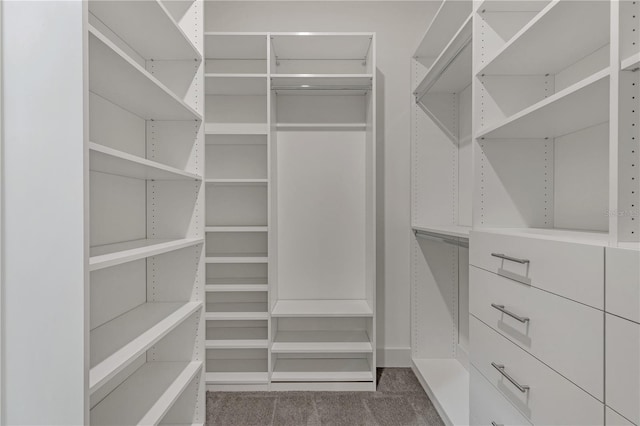 walk in closet with carpet